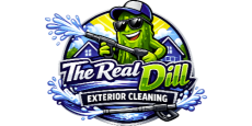 The Real Dill Exterior Cleaning