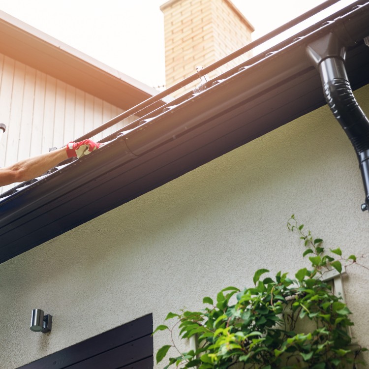 Just another WordPress site